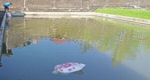 Pemupukan kolam