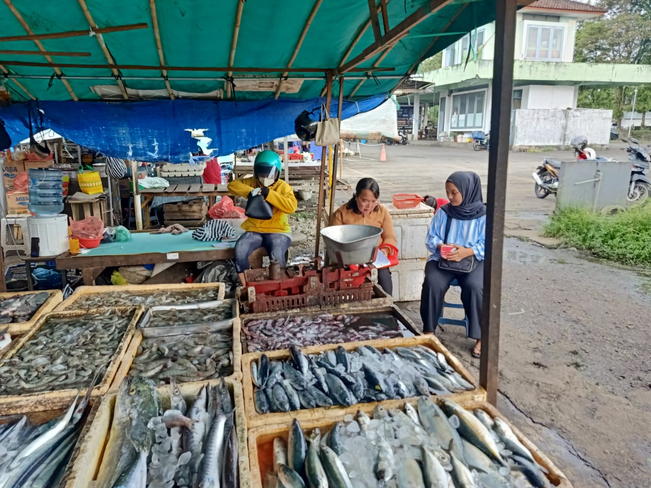 IMG-20230328-WA0014