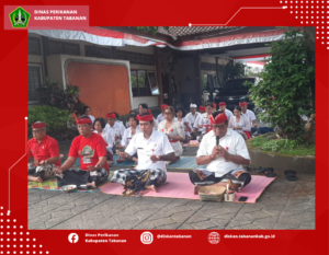 Desain tanpa judul (13)