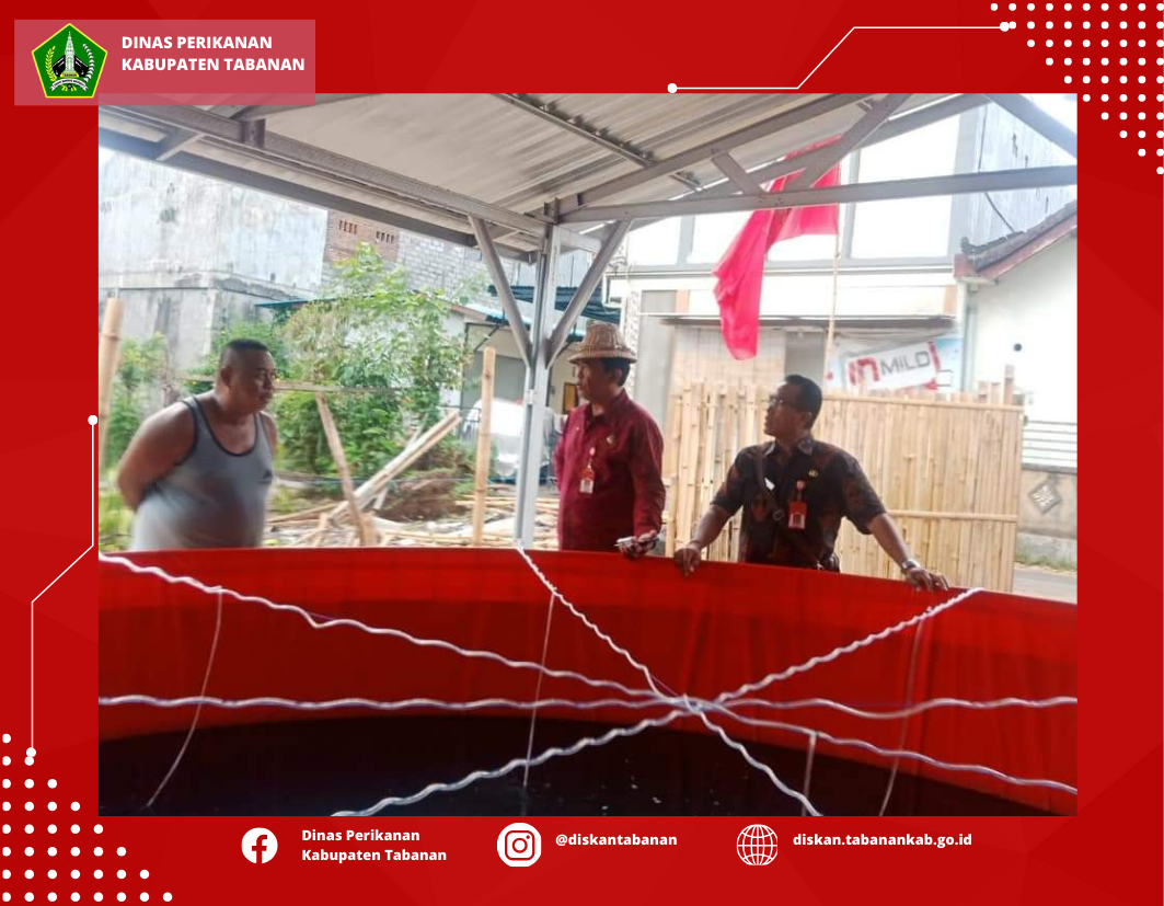 Desain tanpa judul (18)