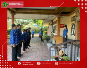 Desain tanpa judul (28)